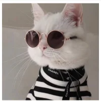 RUavailable29 Avatar-Bild