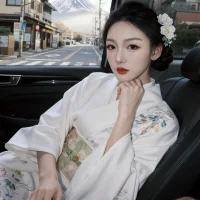 Melody-520 webcam