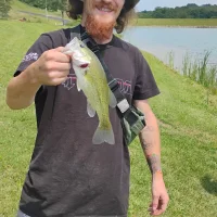 gingertwink15