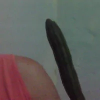 Lustiwb's Profile Pic