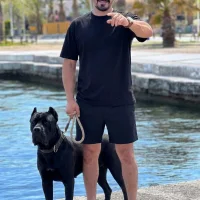 34-volkan-34