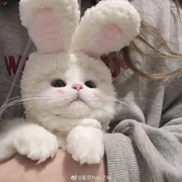 Slika avatara modela FromHeaven