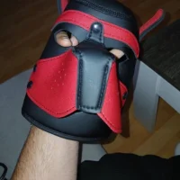 sebi199980 Avatar-Bild