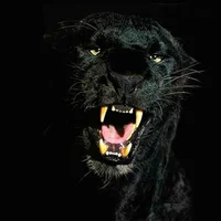 philius' Profile Pic
