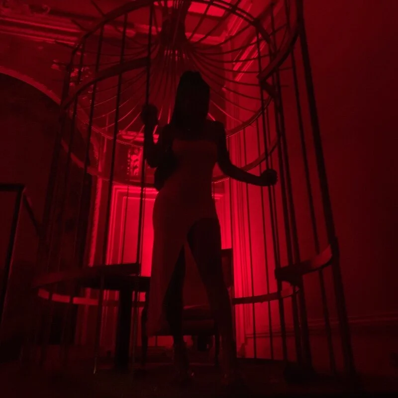 ReineNeferrti live cam profile