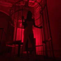 ReineNeferrtiのプロフィール写真