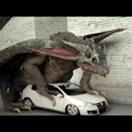 ZMAN56's Avatar Photo