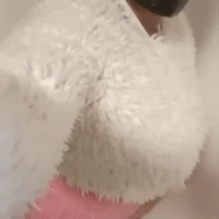 Фото профіля Swedishtranny69