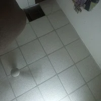 Biggdick9inces's Profile Pic