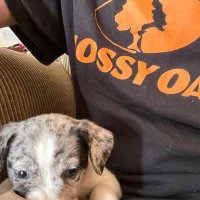 NeckHunter42's Profile Pic