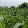 Sex Photo of sjrAjqw