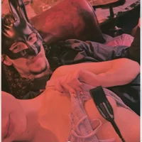 BunnyandKings's Profile Pic