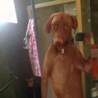 idk171231 avatarképe