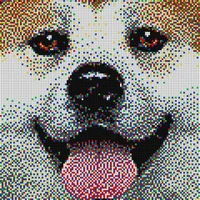 Anonymous9597 Avatar-Bild