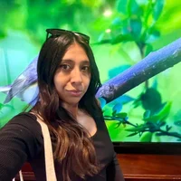 20chinchilla webcam