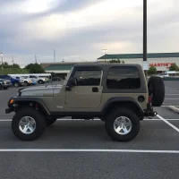 Аватар beartree