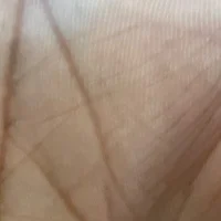 Аватар Indian_slave_dog