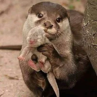 Ảnh Đại Diện Smiles1964