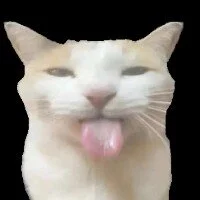 AdoreChris' Avatar Pic