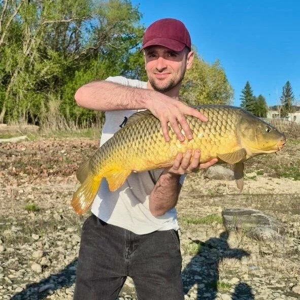 Eskkimo profile photo