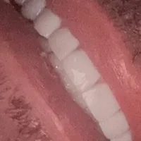 Paunormalbrasil's Profile Pic