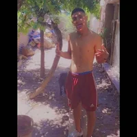 Brianpus's Profile Pic