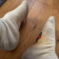 Doggy8969 Avatar-Bild