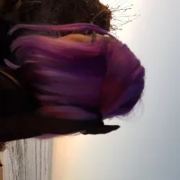 Zdjęcie profilowe modela BlossingFaye