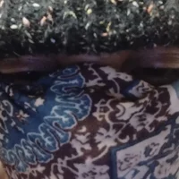 GogoCrew's Profile Pic