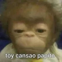 FastFifty Gambar Avatar