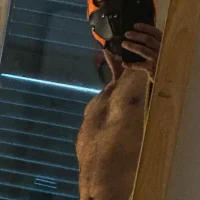 danix_wild_wolfs Profilfoto