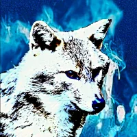 AlexanderGT1025's Avatar Pic