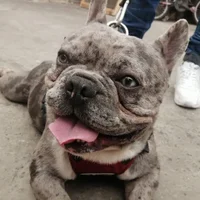 Sebit1021's Profile Pic