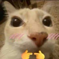 Foto do avatar de TurbulentMoon39