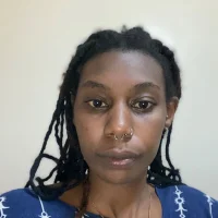 softdesire1 webcam
