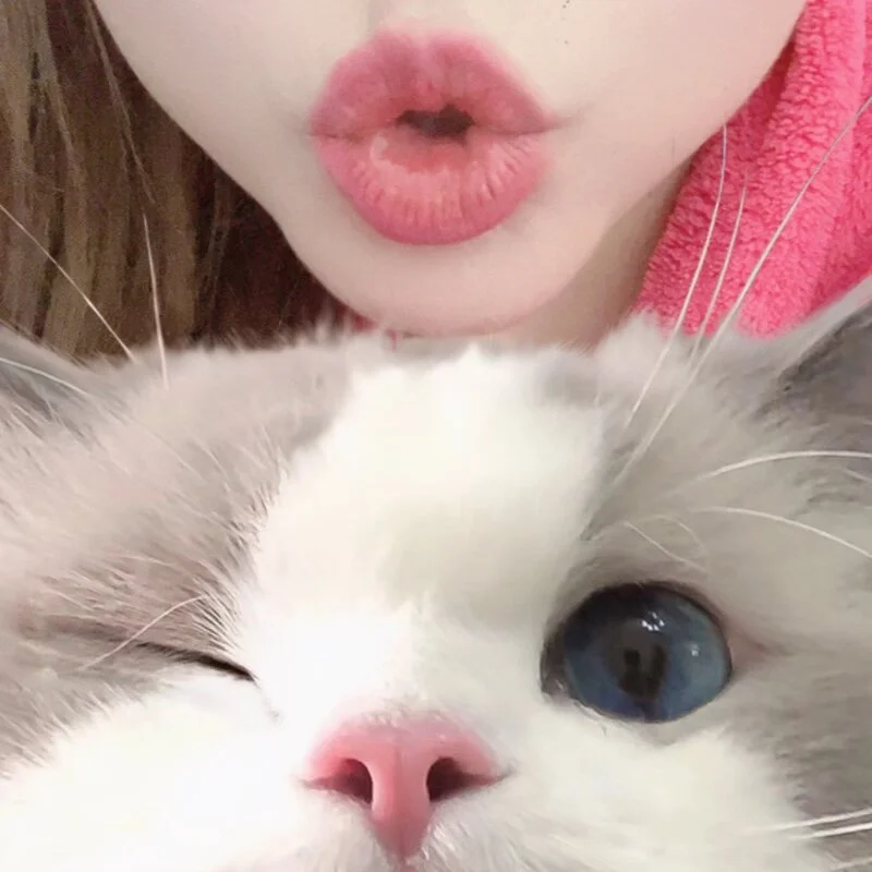 LuckyLin328 profile photo