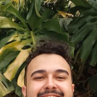 Artistabrasileiro