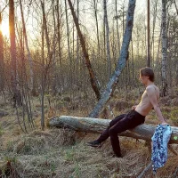 DebugMee 头像图片