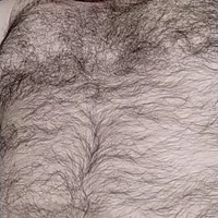 BearBearHairy's Avatar Pic