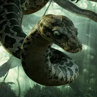 Foto del avatar de SerpienteKaa