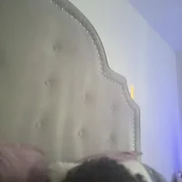 thickbell's Profile Pic