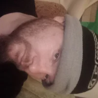 DrexXx92RZB's Avatar Photo