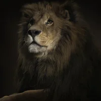 maverickul's Avatar Pic