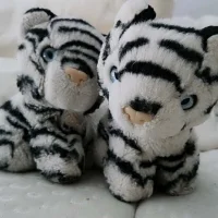 MewMewKitten's Avatar Pic