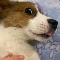 Аватар xinxin989