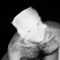 pelosenelcuerpo