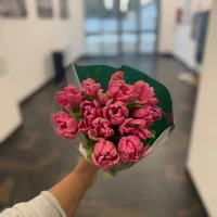 EasternEuropeanSpiceX এর প্রোফাইল ছবি