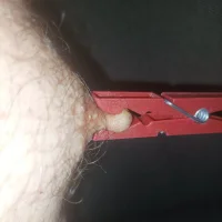 nippletortute's Profile Pic