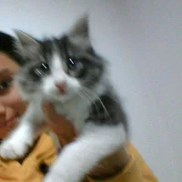 Profilová fotka kira_777