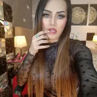 PrettyHorseCockTrans 头像图片